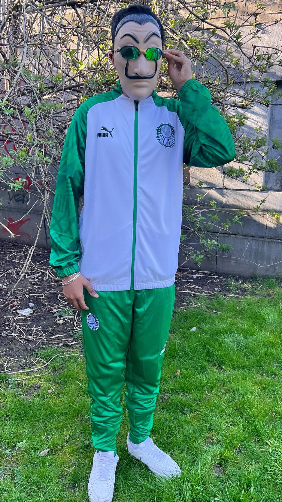 Kit Palmeiras Premium